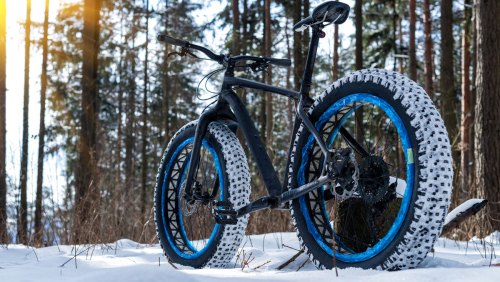 Fatbike fahren im Schnee, Fahrrad im verschneiten Waldgebiet