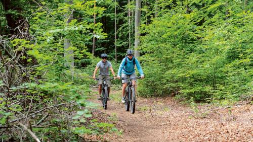 Die Heumödern-Trails bieten Mountainbike-Spaß in sechs Leveln.