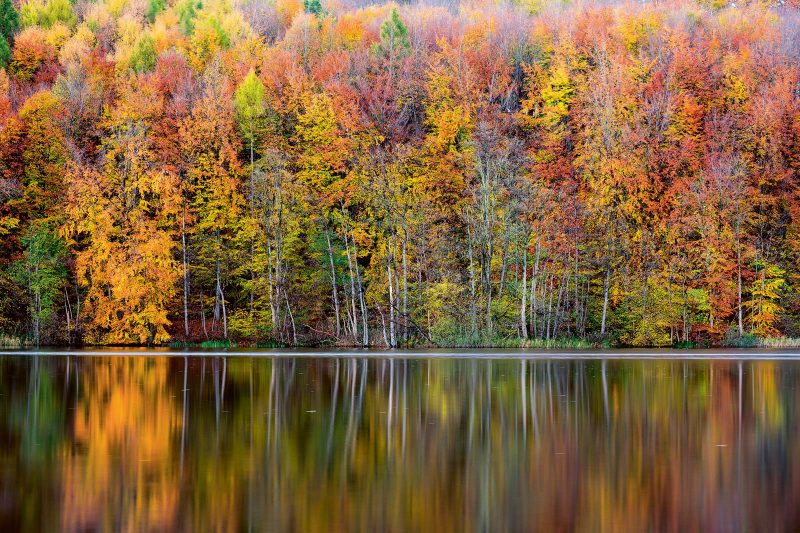 Herbst am Großensee: Die Baumwelt hat sich in Schale ge­worfen und betrachtet zufrieden ihr Spiegelbild im Wasser.