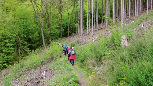 Der Naturpark Hohes Venn–Eifel: 
ein Wanderparadies für Jung und Alt
