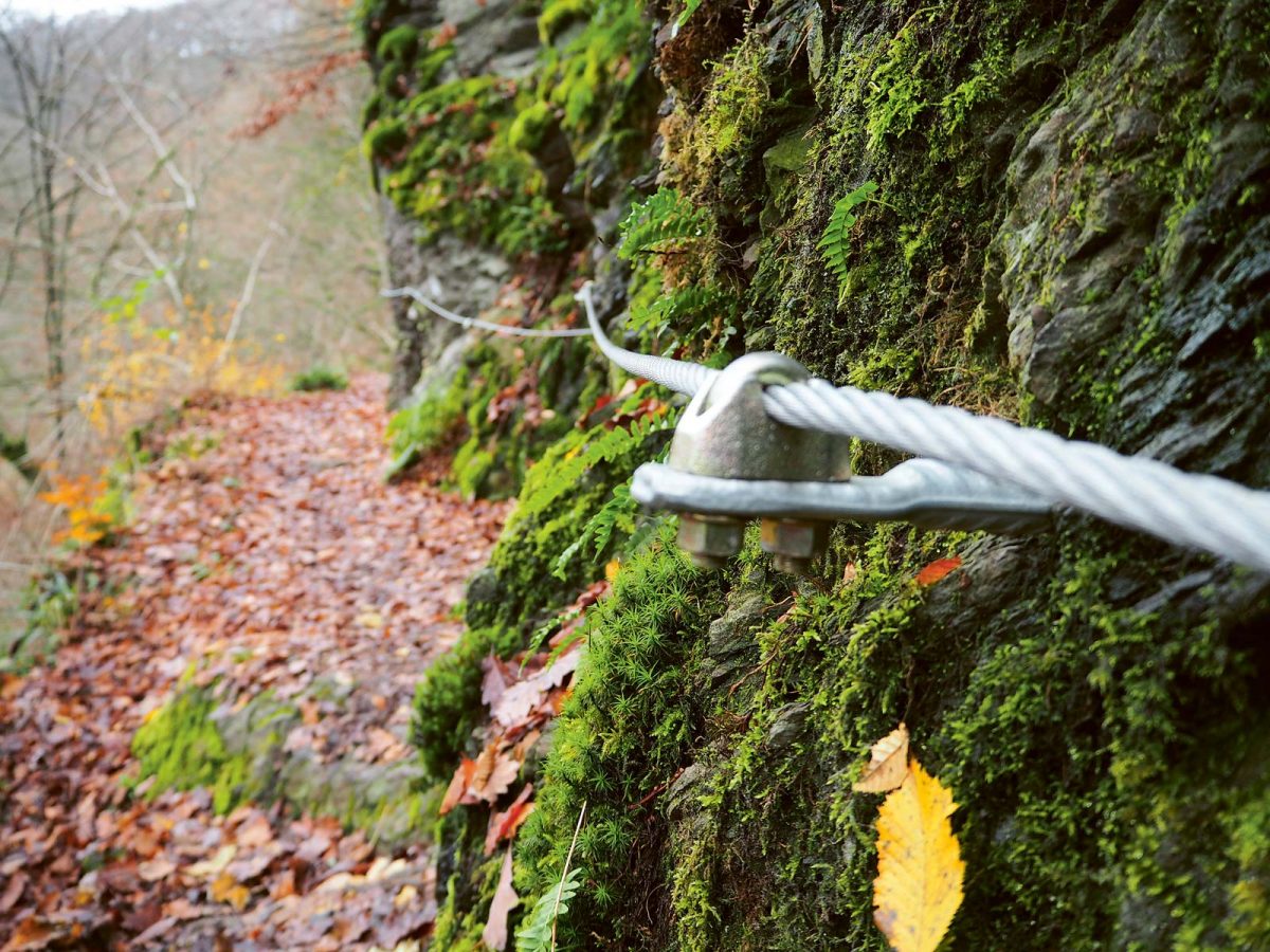 Lieserpfad in der Eifel, Nahaufnahme von Drahtseilen zur Sicherung